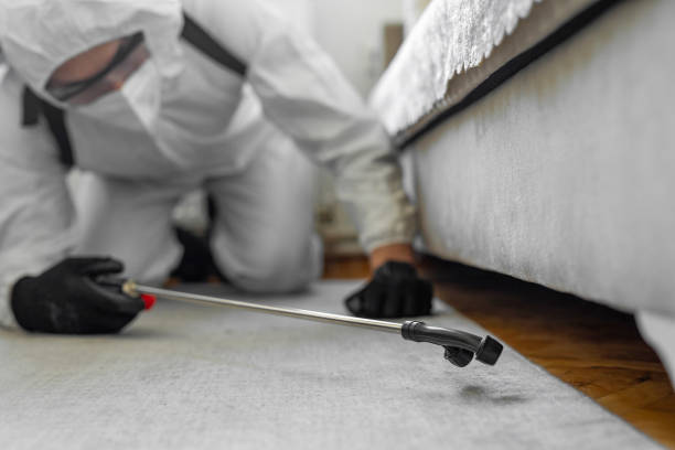 Professional Bed Bug Control technician working in Cavalier County County, ND
